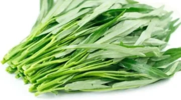 تغيرات مفاجئة.. ماذا يحدث في وظائف أعضاء جسمك عند تناول الجرجير المائي؟